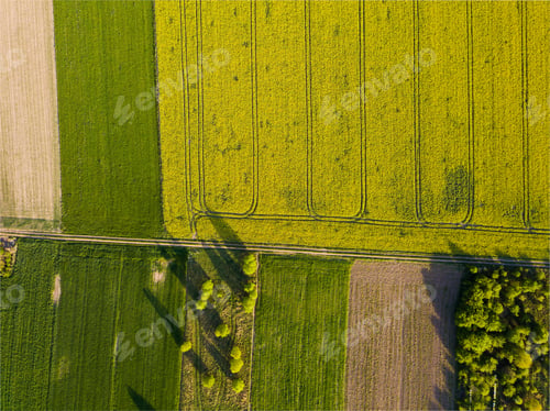 Preview: Beautiful Green Spring Fields From Above. Drone Landscape
