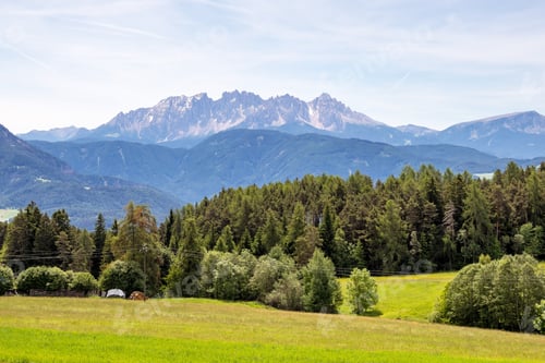 Preview: Scenic Landscape Of Mixed Pine And Deciduous Forest In South Tyrol, Renon/Ritten Region, Italy.