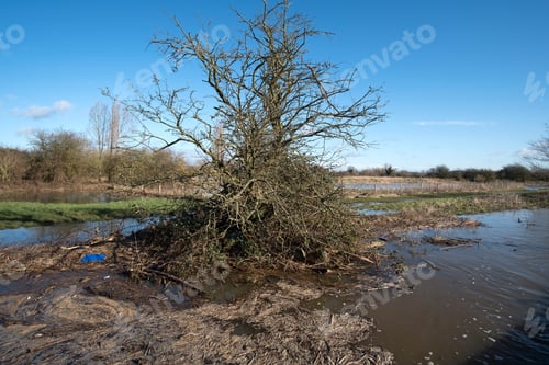 Preview: Flood Debris Washed Up On A River Bank