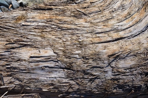 Preview: Texture Of Old Driftwood, Washed Up By The Sea