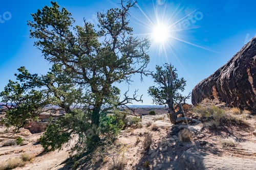 Preview: Slick Rock Walk, Neddles, Canyonelands National Park In Fall, Usa