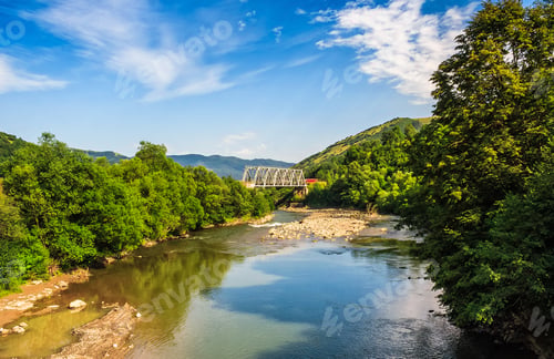 Preview: River Flows Among A Green Forest At The Foot Of The Mountain. Picturesque Nature Of Rural Area In