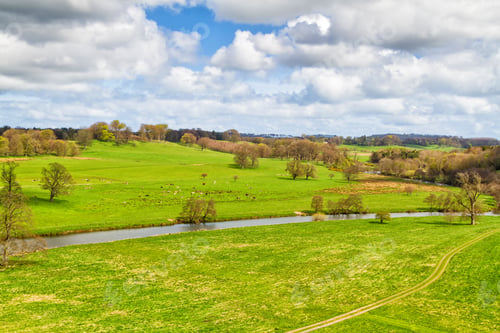 Preview: Rolling Green Farm Fields With Cattle Under A Calm Blue Sky. Colorful Panorama Over The Meadows Of