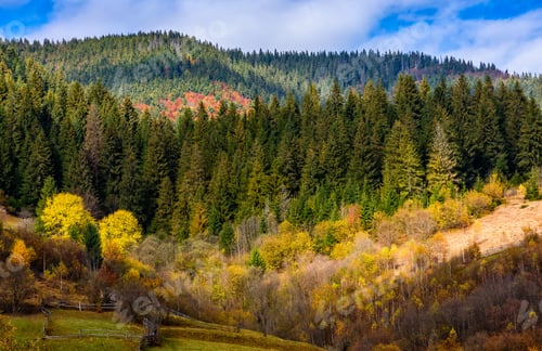 Preview: Mountain Rural Area In Autumn Season. Agricultural Field With Haystack On A Hill Near The Forest