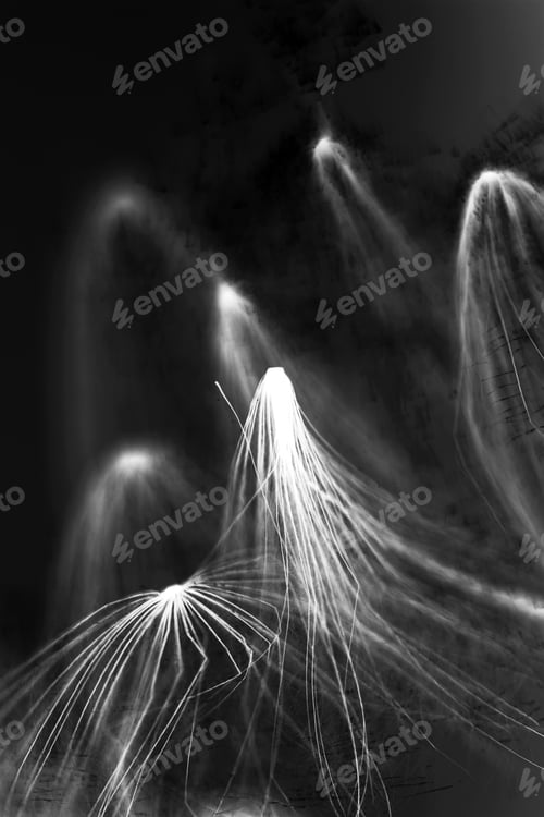Abstract Image of Light Streaks in the Dark