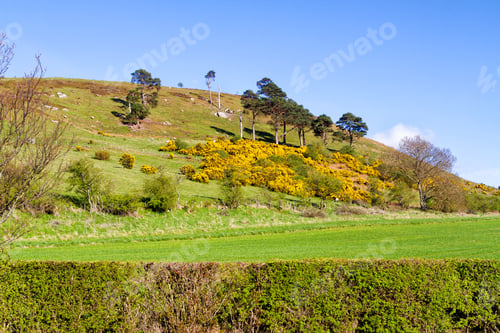 Preview: Rolling Green Farm Fields, Moors And Pastures. Colorful Panorama Over The Meadows, Farmland Of