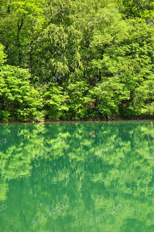 Preview: A View Of The Lake In The Park Of The White Mountain In Montenegro