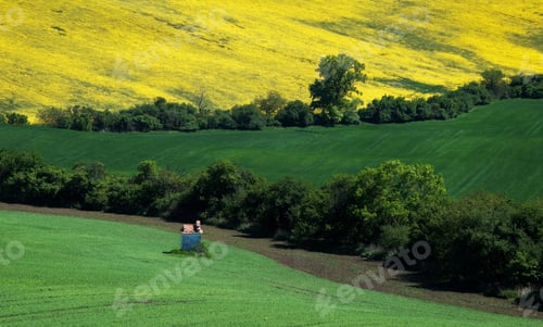 Preview: South Moravia Landscape And Farmland In The Spring With Rapeseed In The Fields.