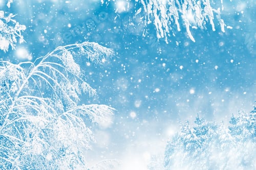 Preview: Frozen Winter Forest With Snow Covered Trees. Outdoor