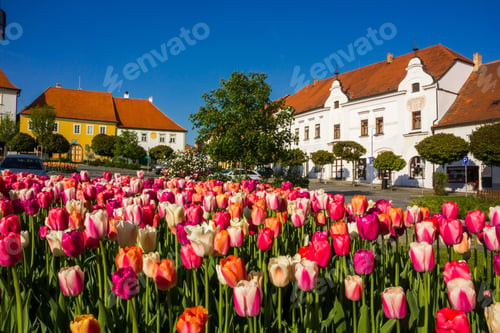 Preview: Tyn Nad Vltavou, Czech Republic.