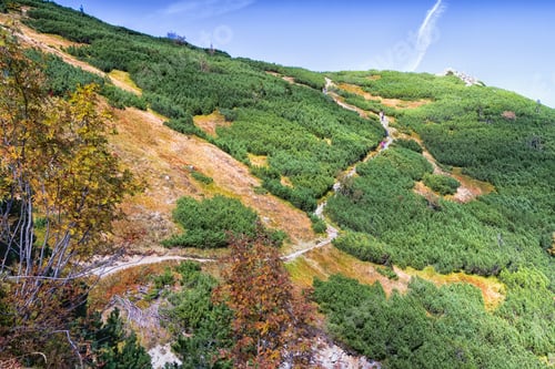 Preview: Trails In Tatra Mountains National Park, Poland