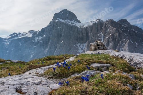 Preview: Epic Mountain Landscape