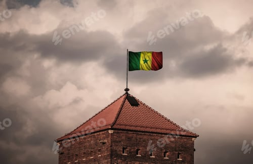 Preview: Flag With Original Proportions. Flag Of The Senegal