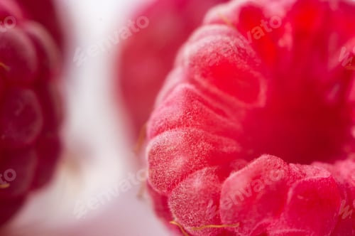 Preview: Raspberries On A White Saucer Close Up, Macro Photo