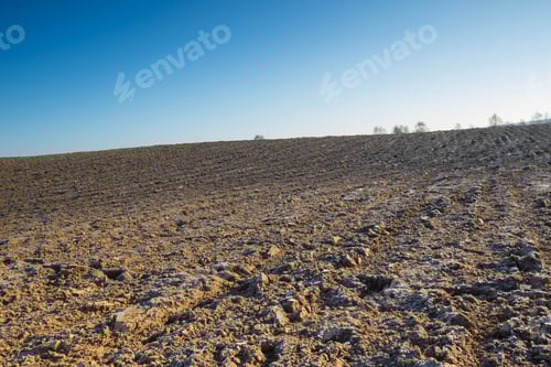 Preview: Plowed Field At Sunny Weather