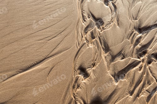 Preview: Wet Sand Texture In The Sea Shore Beach