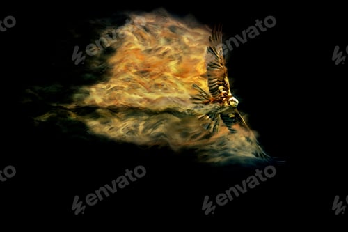 Preview: Abstract Nature. Flying Bird. Dispersion Effect. Black Background.