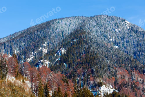 Preview: Landscape With Mountain Top And Pine Forest
