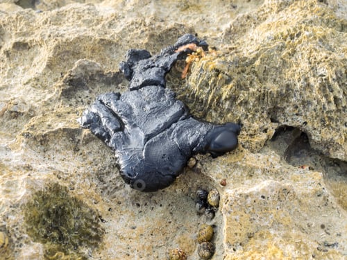 Preview: Tar Around Boca Patrick Curacao A Caribbean Island In The Caribbean
