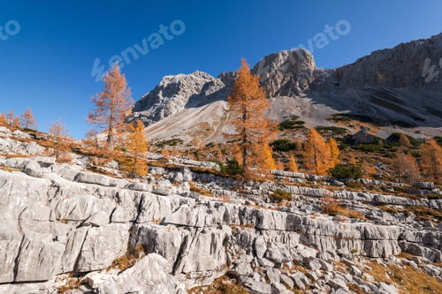 Preview: Autumn In The Valley Of The Seven Lakes In Julian Alps