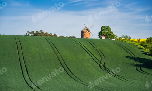 Preview: Old Wind Mill At South Moravia
