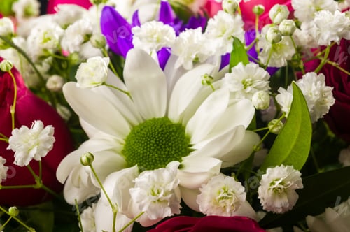 Preview: Background For A Greeting Card - Beautiful Gift Bouquet Of Various Colorful Decorative Summer