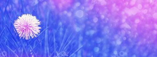 Visualização: Flor fofa de dente-de-leão no contexto da paisagem de verão.