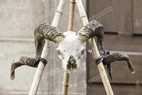 Preview: Goat Skull With Horns, Detail Of A Skull In A Medieval Ritual, Belief And Witchcraft