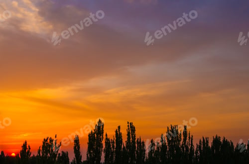 Preview: Landscape With Dramatic Light - Orange Clouds And The Outline Of Trees At Sunrise