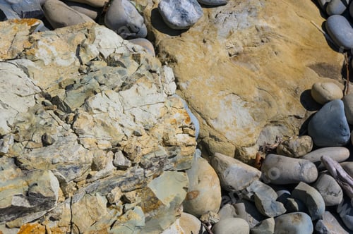 Preview: Driftwood, Washed Up By The Sea On A Pebble Beach