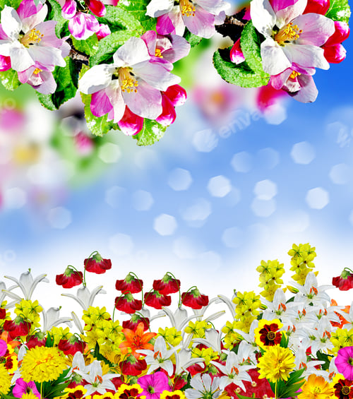 Preview: Spring Landscape. Orchard