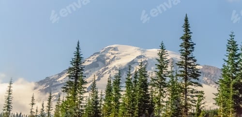 Preview: Mount Rainier Peaking Through The Clouds And The Surrounding Forest.