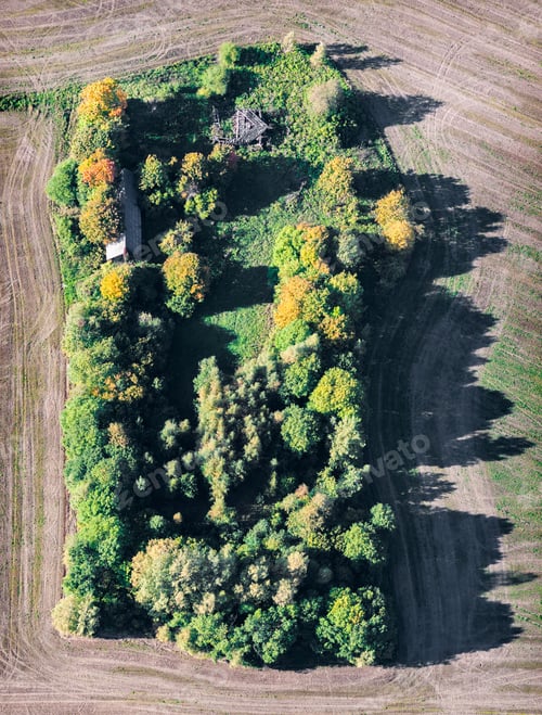 Preview: Aerial View Over The Bushes And Trees In Autumn