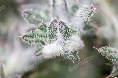 Preview: Beautiful Grass Textures With Water Drops