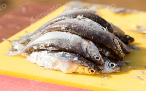 Preview: Fresh, Cleaned Fish, Sliced
