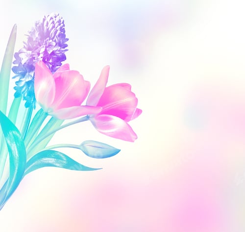 Preview: Spring Landscape. Beautiful Spring Flowers Tulip. Blue Hyacinth