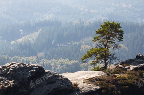 Preview: Natural Monument - Pravcicka Brana At Hrensko, Czech Republic