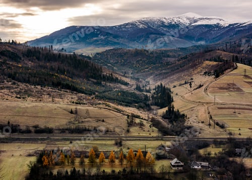 Preview: Rural Valley At The Foot Of Snowy Mountain. Hills With Weathered Grass And Trees With Yellow Foliage