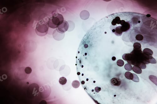 Preview: Abstract Underwater Games With Jelly Balls, Bubbles And Light