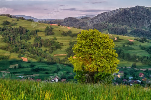 Preview: Mountains Scenery. Panorama Of Grassland And Forest In Beskid Sadecki Mountains. Carpathian