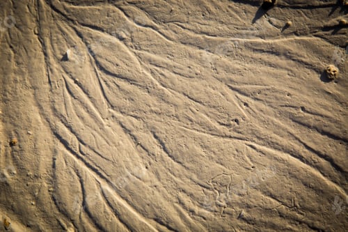 Preview: Abstract Natural Background With Wet Sand On Ocean Beach