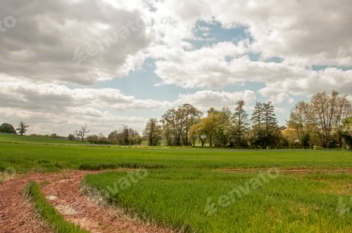 Preview: Springtime Meadow In The British Countryside.