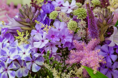 Preview: Flower Arrangement Of Perennial Blooming Plants