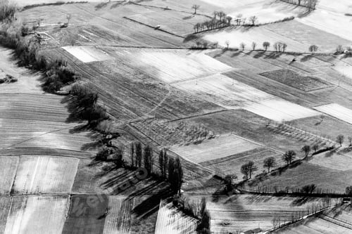 Preview: Aerial View Of Meadows And Trees With Their Shadows