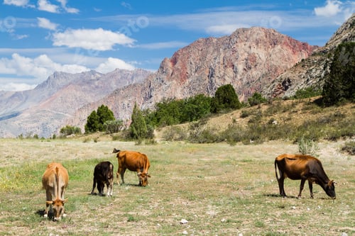 Preview: Mountain Landscape Of Fan Mountains In Summer, Tajikistan, Central Asia