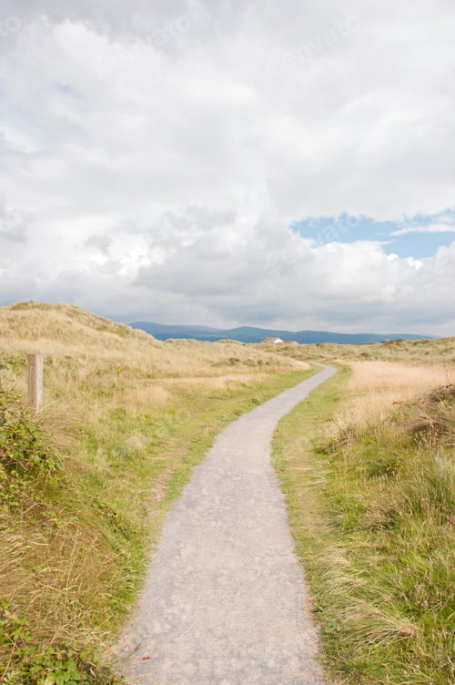 Preview: Dune Grasses Along The Coastline In Summer.