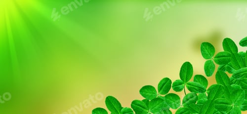 Preview: Green Clover Leaves On A Background Summer Landscape. St.Patrick 'S Day.