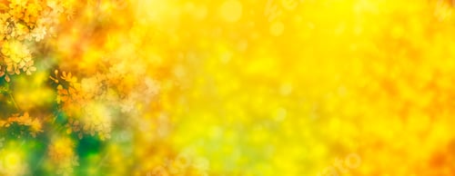 Preview: Blossoming Branch Cherry. Bright Colorful Spring Flowers. Beautiful Nature Scene