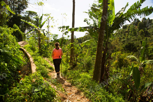 Preview: Woman Walking Along A Dense Jungle Path With Green Leafs Everywhere