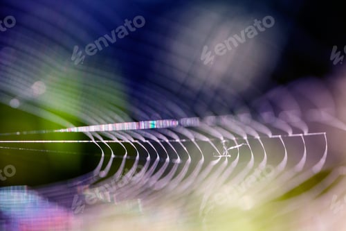 Preview: Abstract Composition With Spider Web Details And Natural Colors